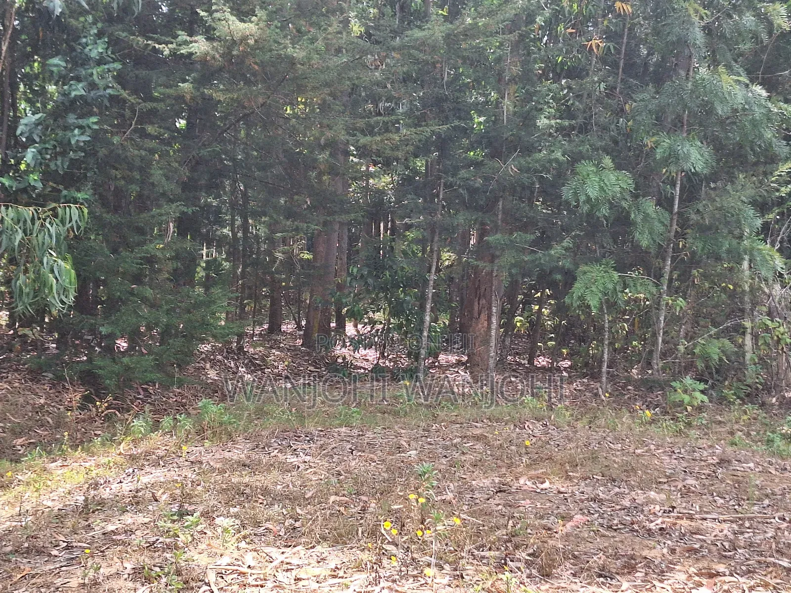 Premium Properties in Nyahururu in Nyahururu