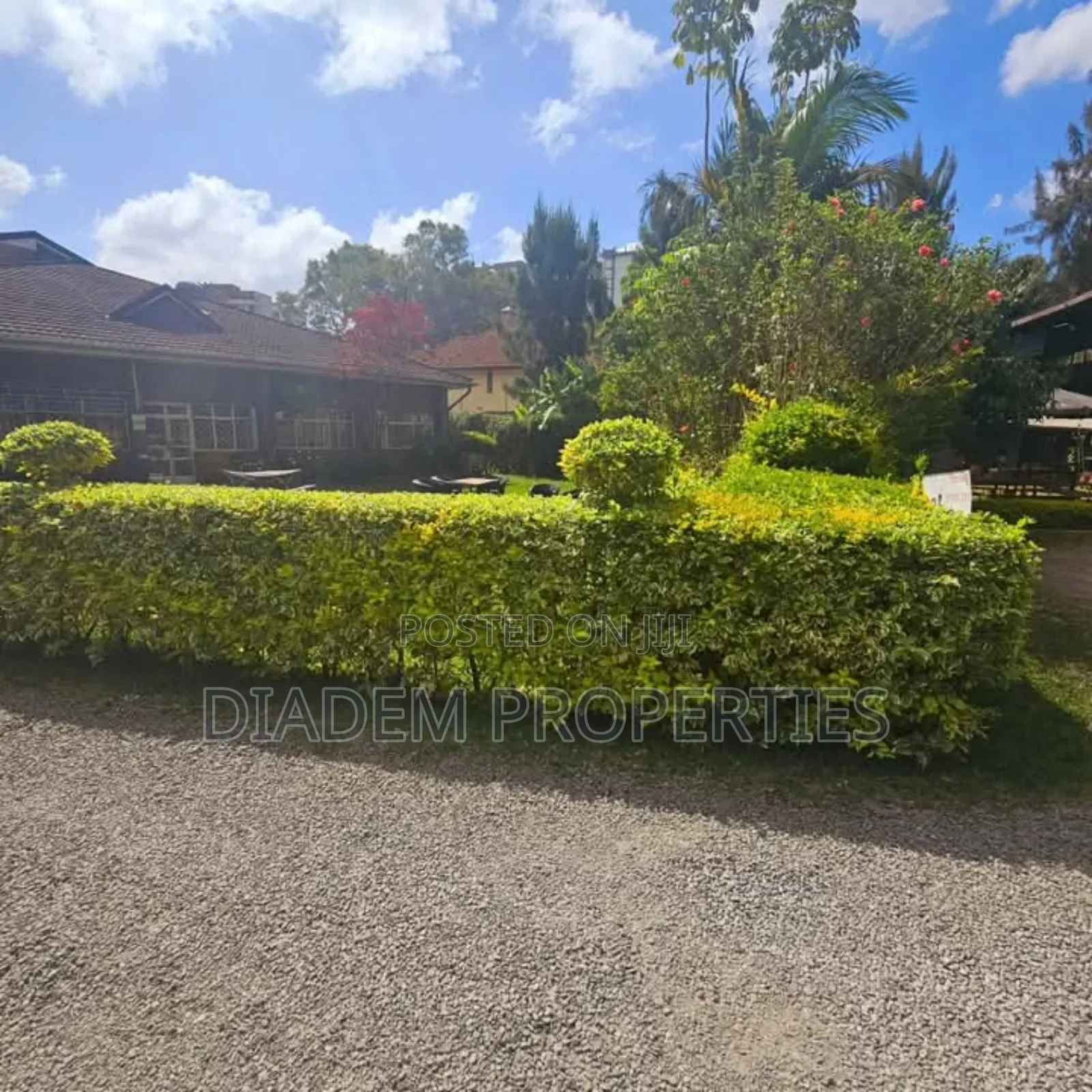 Commercial Property to Let in Lavington