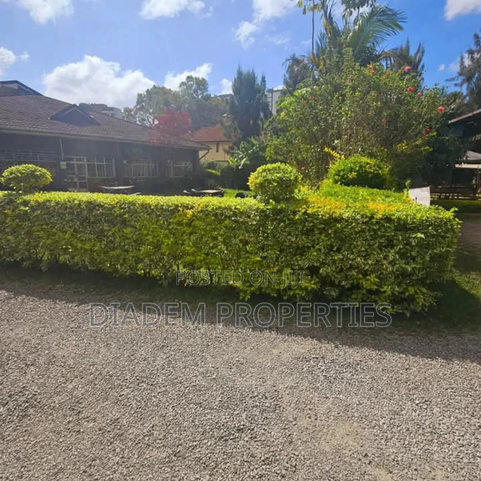 Commercial Property to Let in Lavington