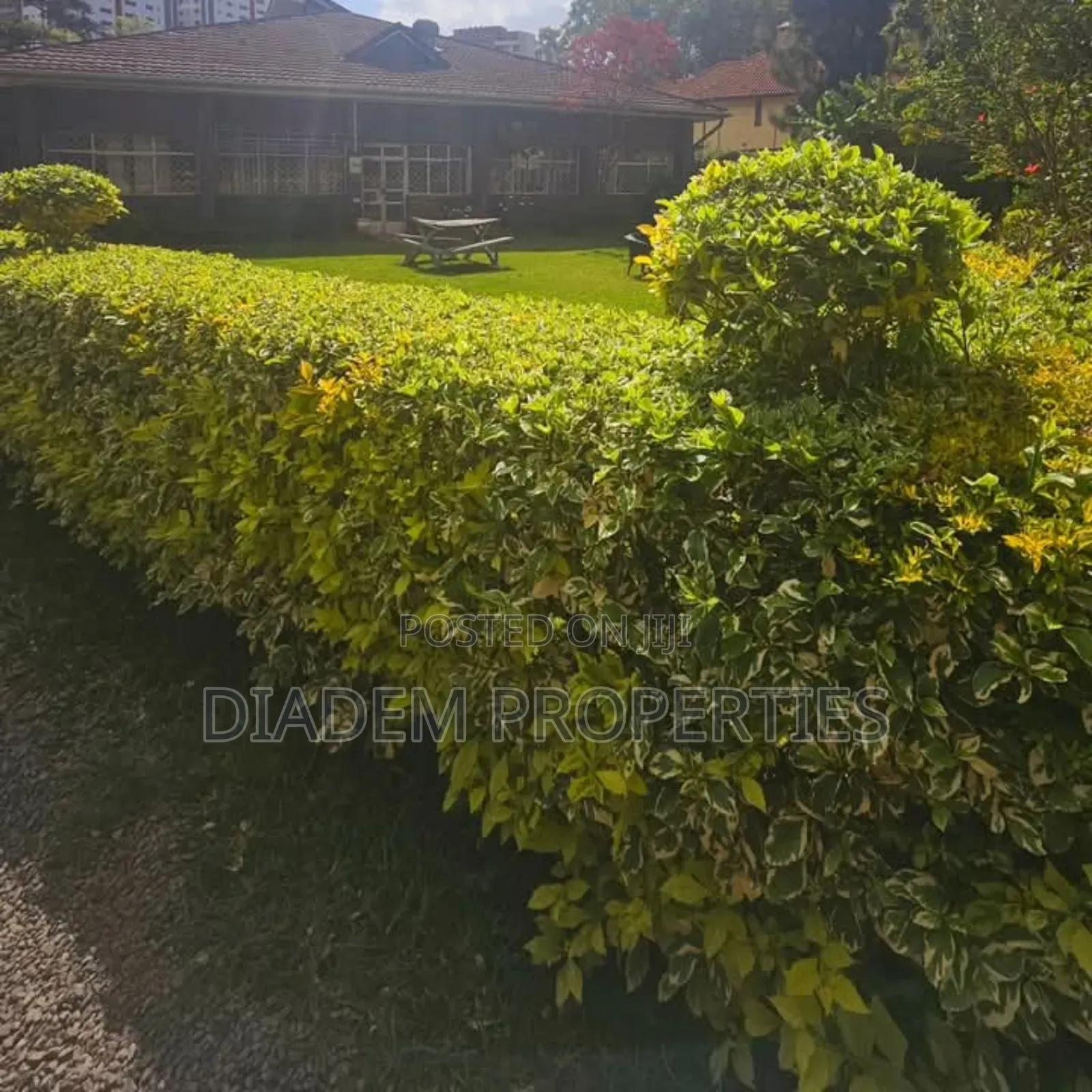 Commercial Property to Let in Lavington