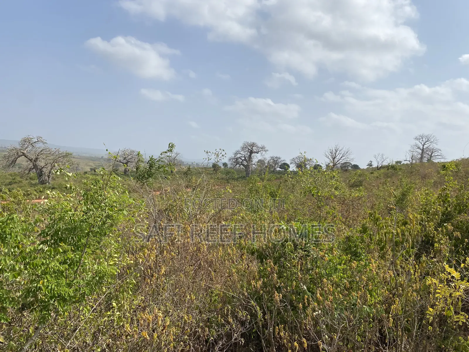 36 Acres for Sale Mavueni Kilifi in Magarini
