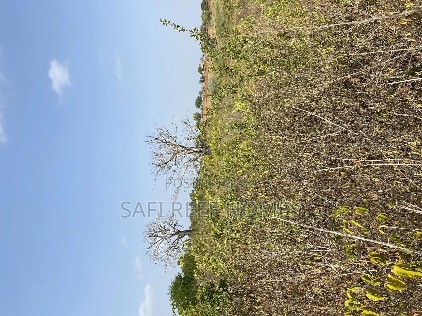 36 Acres for Sale Mavueni Kilifi in Magarini