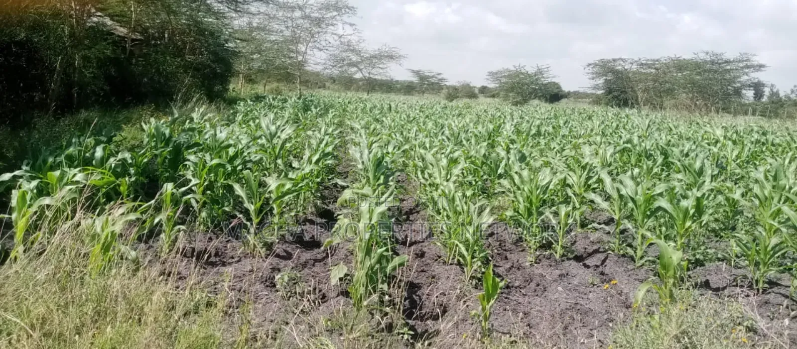 Machakos Vota 1 Acre on Sale in Machakos Town