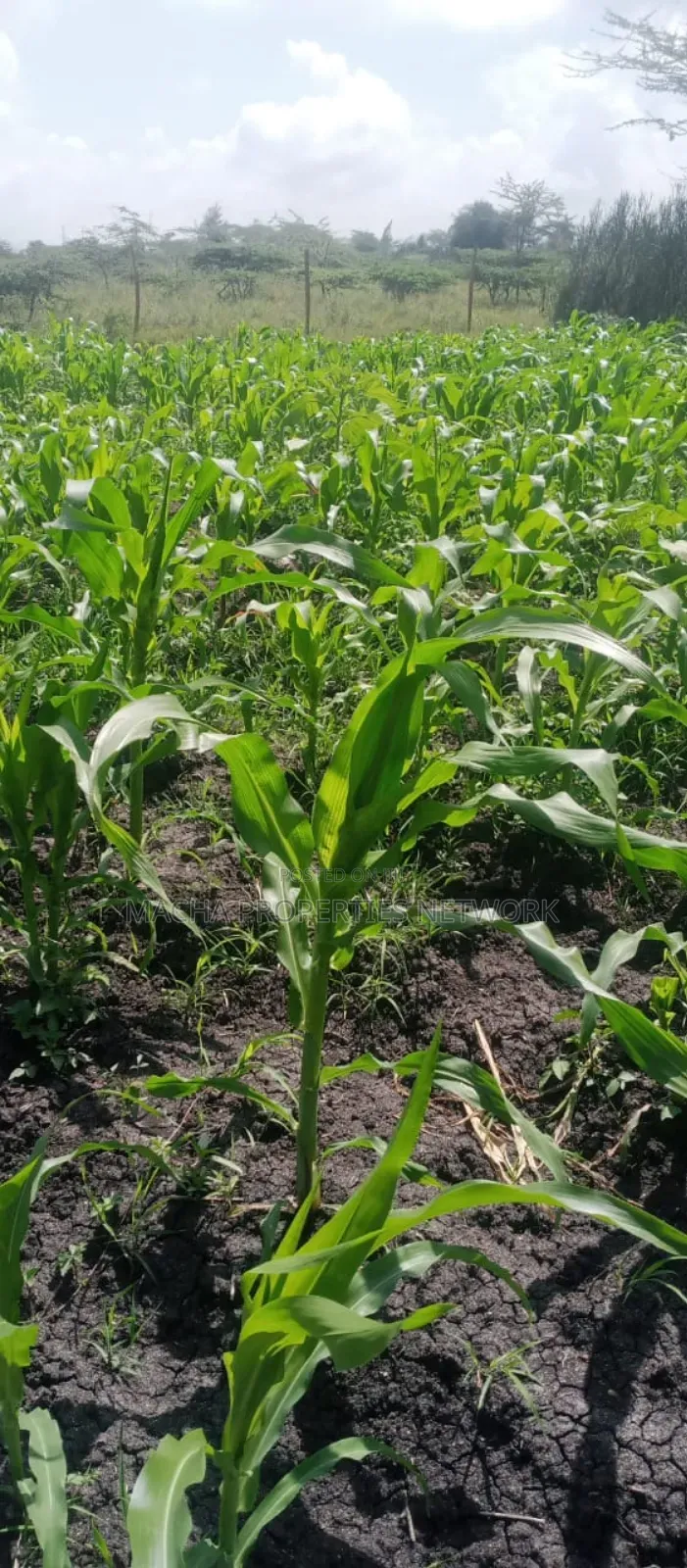 Machakos Vota 1 Acre on Sale in Machakos Town