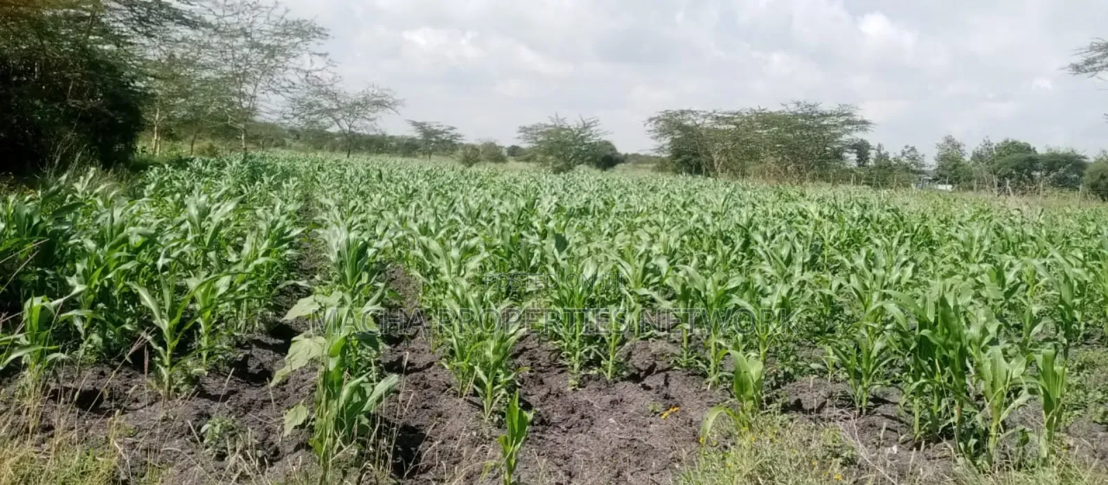 Machakos Vota 1 Acre on Sale in Machakos Town