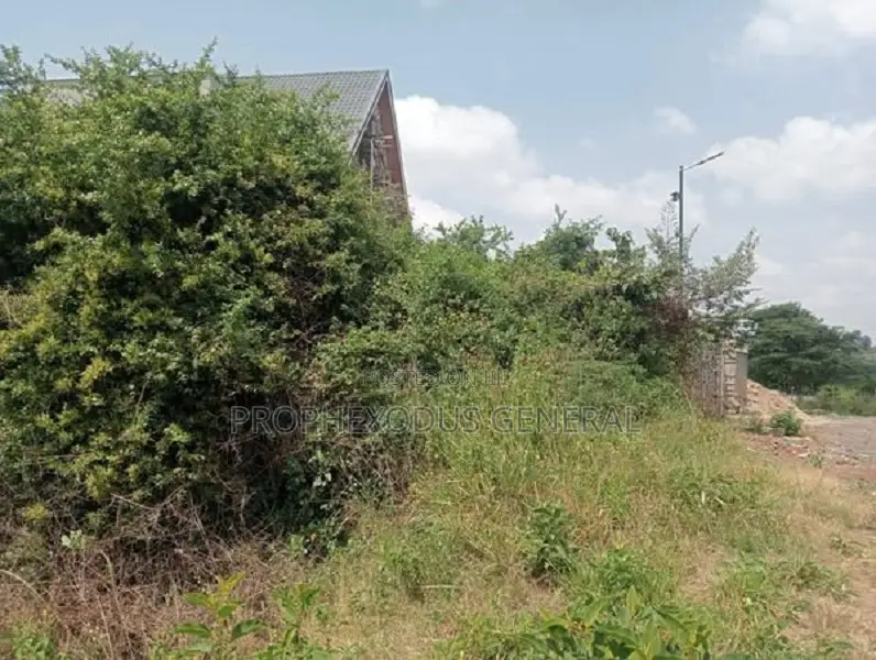 Spacious 100 x 100 Residential Land Available at O/Rongai Maasi Lodge in Maasai Lodge