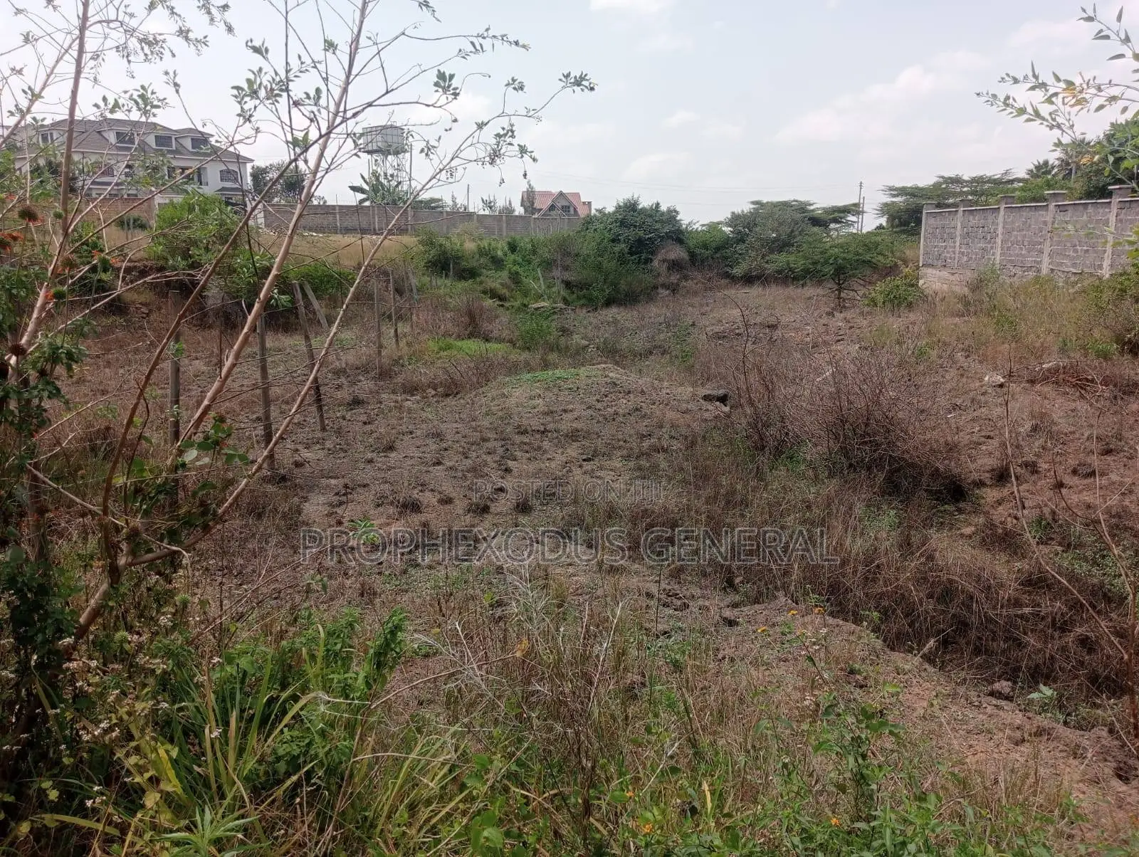 Spacious 100 x 100 Residential Land Available at O/Rongai Maasi Lodge in Maasai Lodge