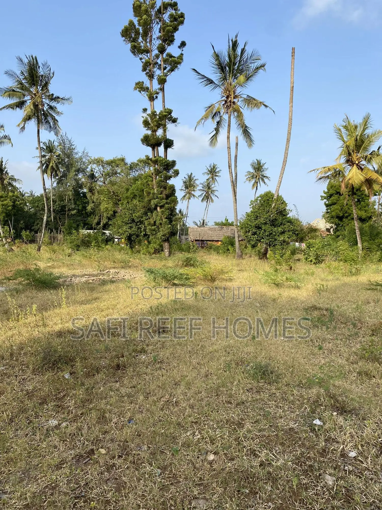 2.7 Acres for Sale Behind Mtwapa Primary in Mtwapa