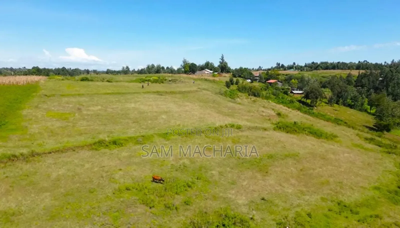 50 X 100 Plots for Sale. Gated Community Design. in Ngata