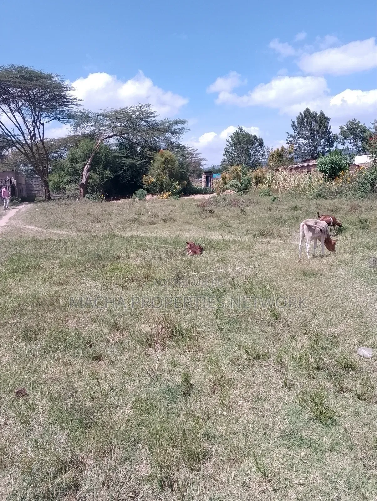 Plot 50 by 100ft -Machakos Kangundo Rd -Kwangongo in Machakos Town