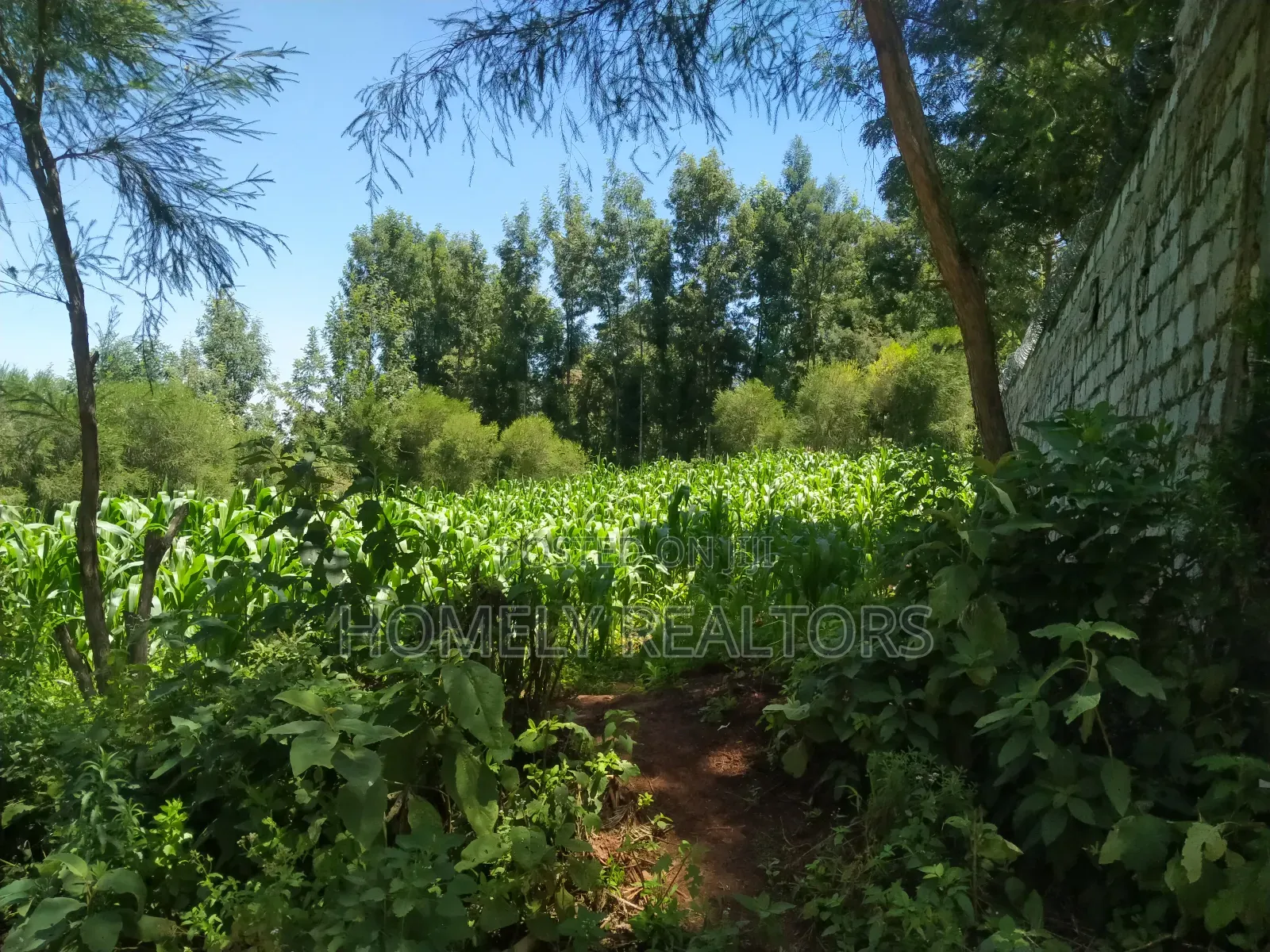 Quarter Acre Plot in Ngong Along Lemiso Road Near Tarmac in Ngong