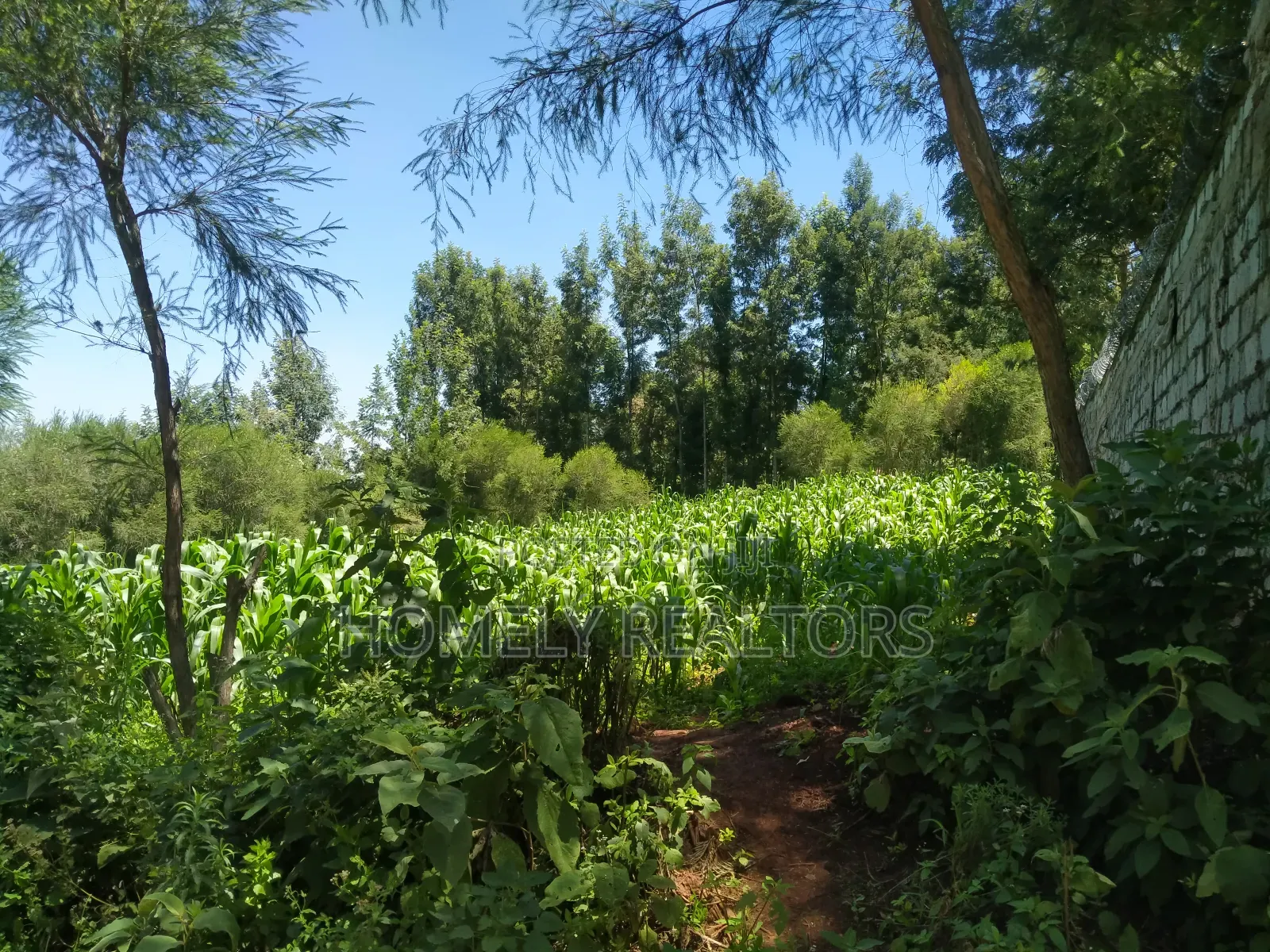 Quarter Acre Plot in Ngong Along Lemiso Road Near Tarmac in Ngong