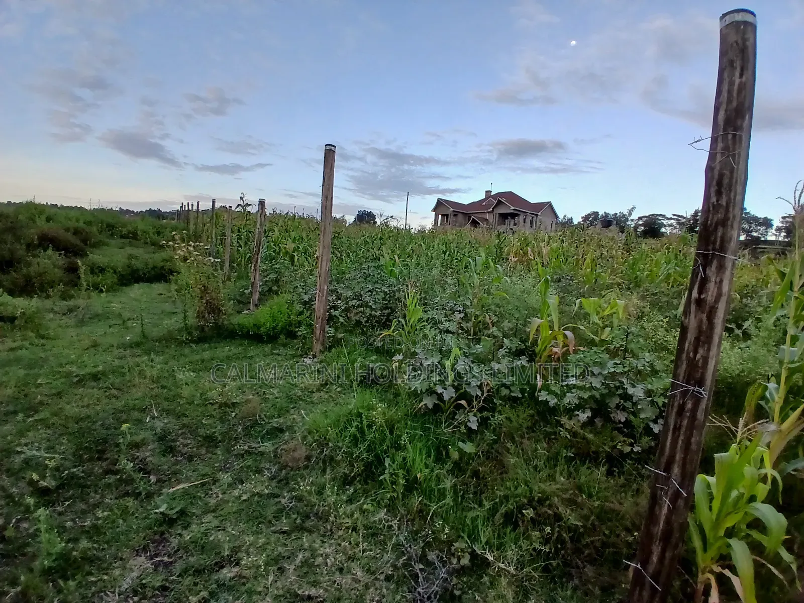 Prime 100 by 100 Plot in Upper Matasia Gated Neighborhood in Matasia