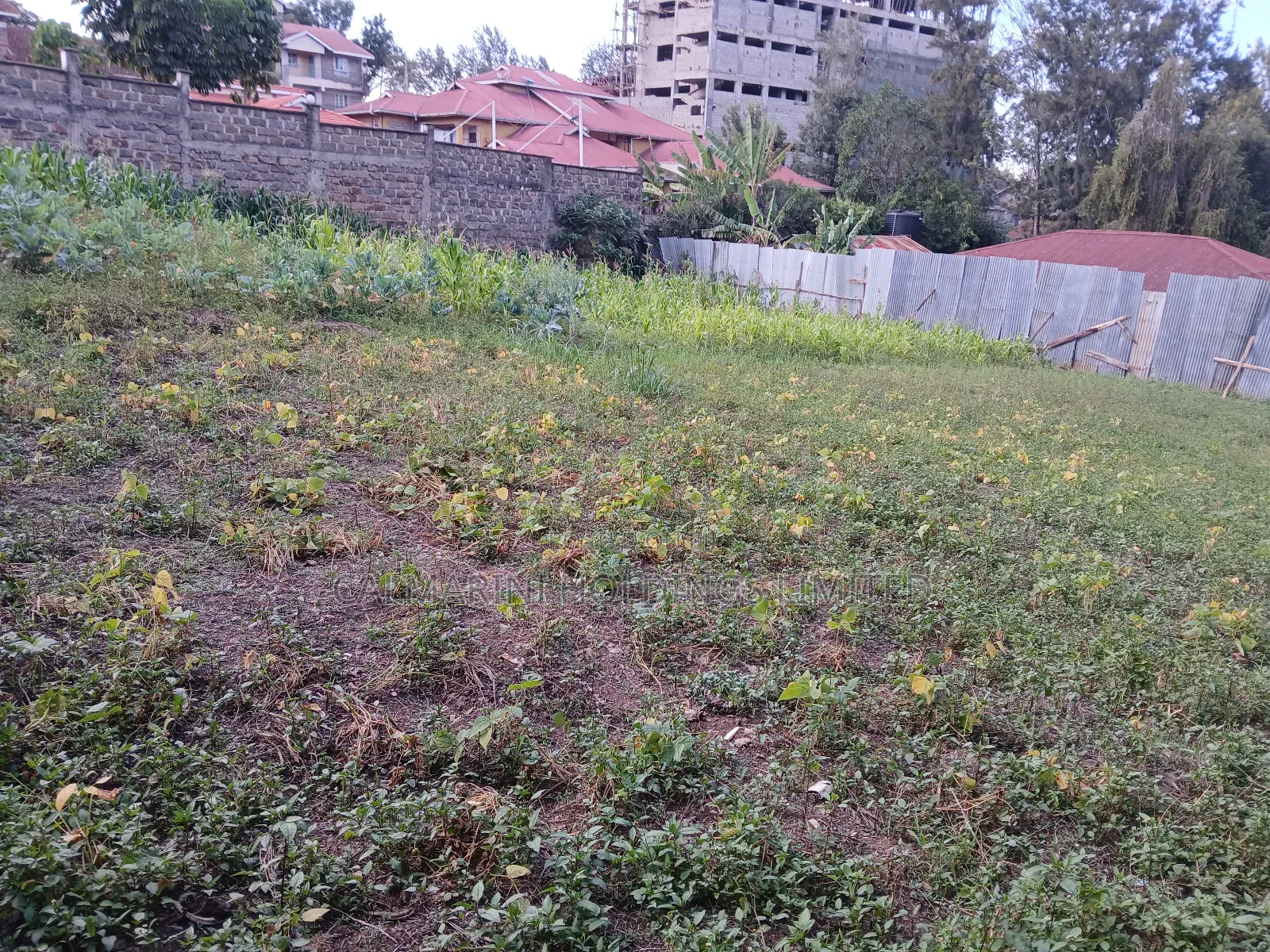 Prime Commercial 100 by 100 Plot in Ngong CBD in Ngong CBD