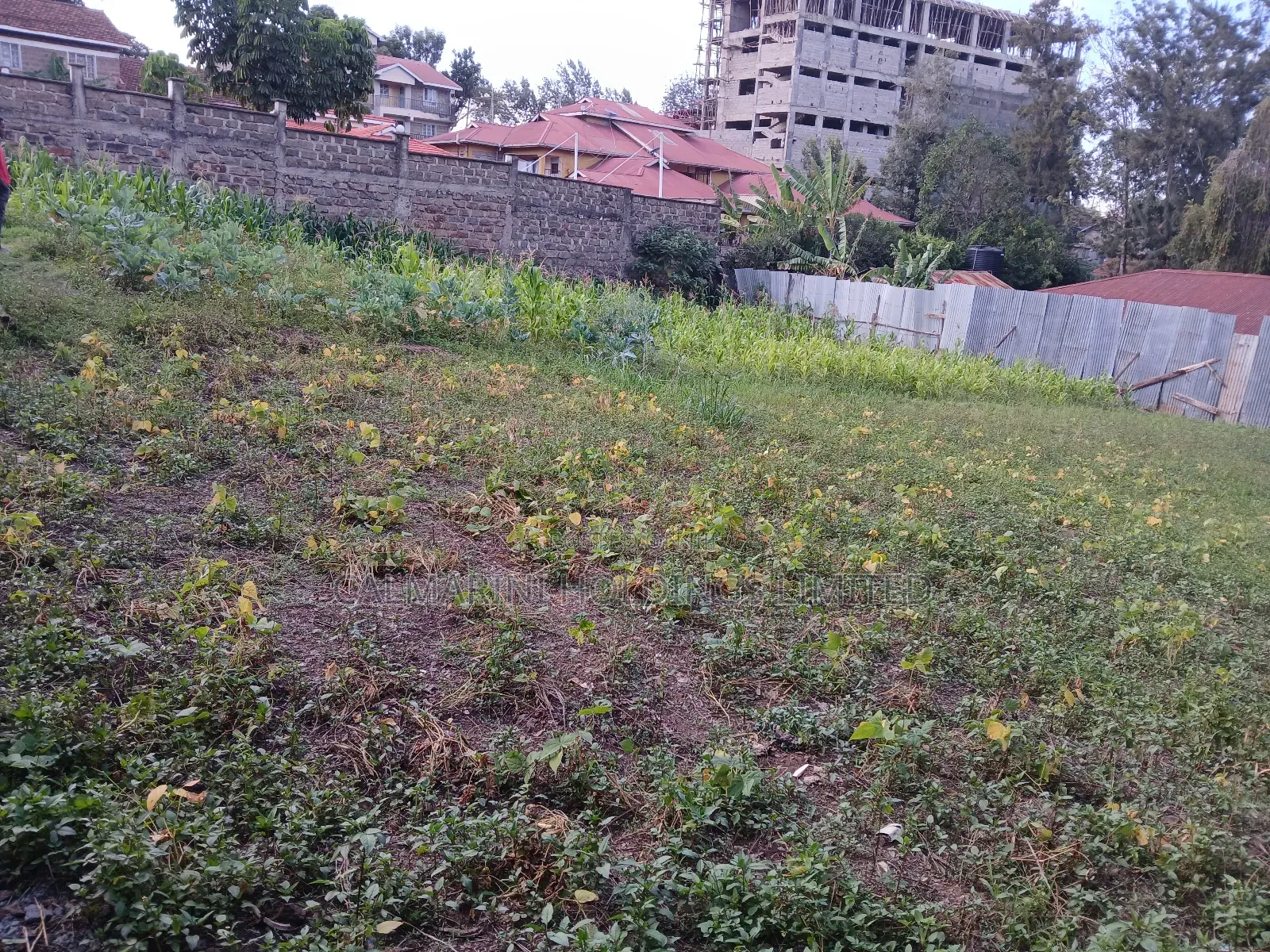 Prime Commercial 100 by 100 Plot in Ngong CBD in Ngong CBD
