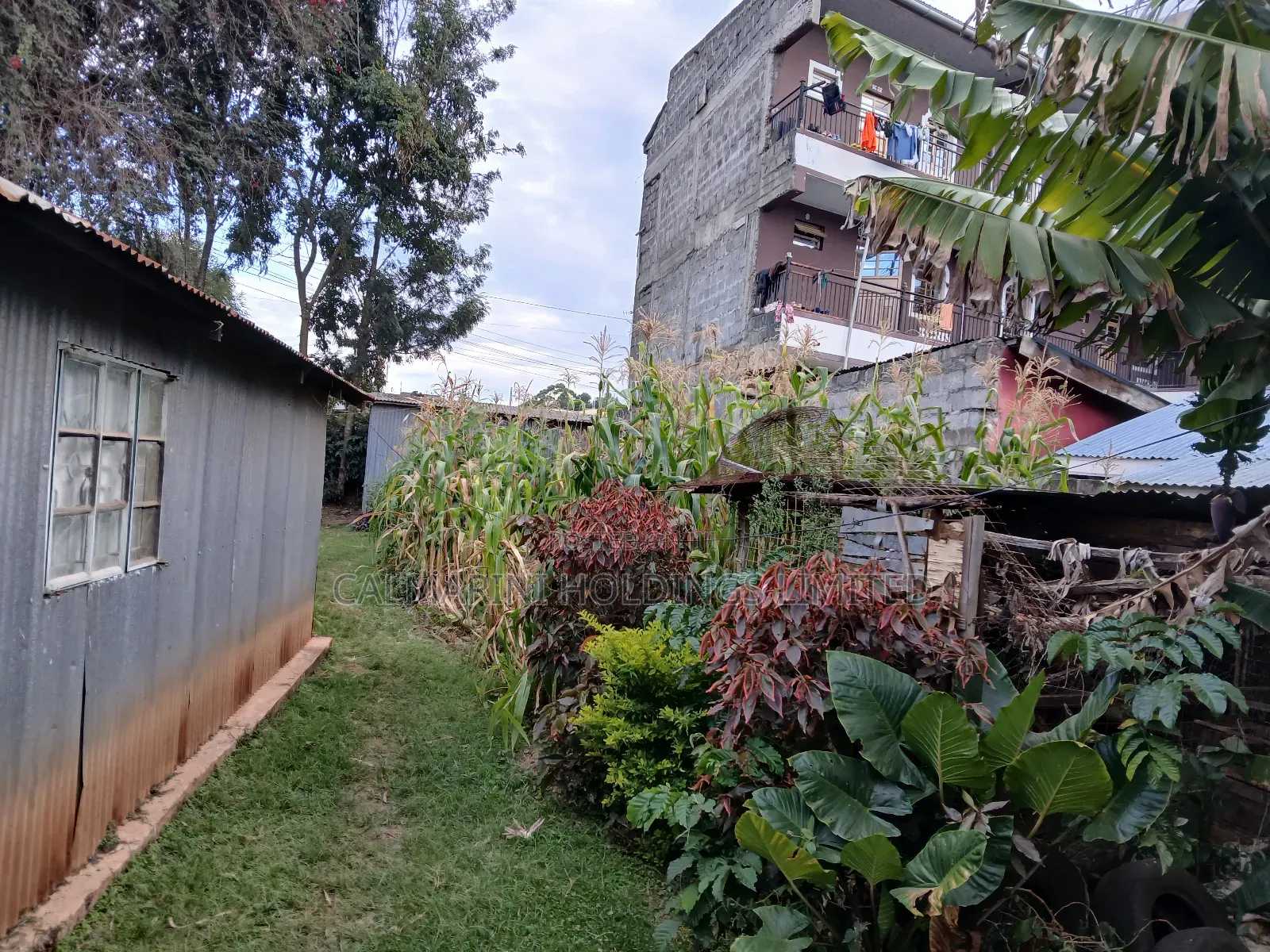 Commercial Full 50 by 100 Plot in Matasia CBD in Matasia