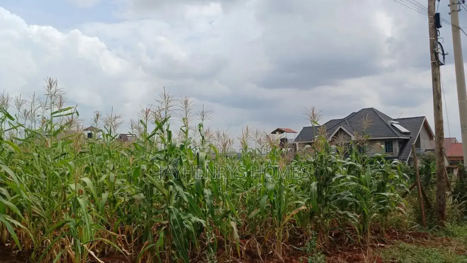 Plots for Sale in Mugutha, Ruiru at Kes 3.5M in Ruiru