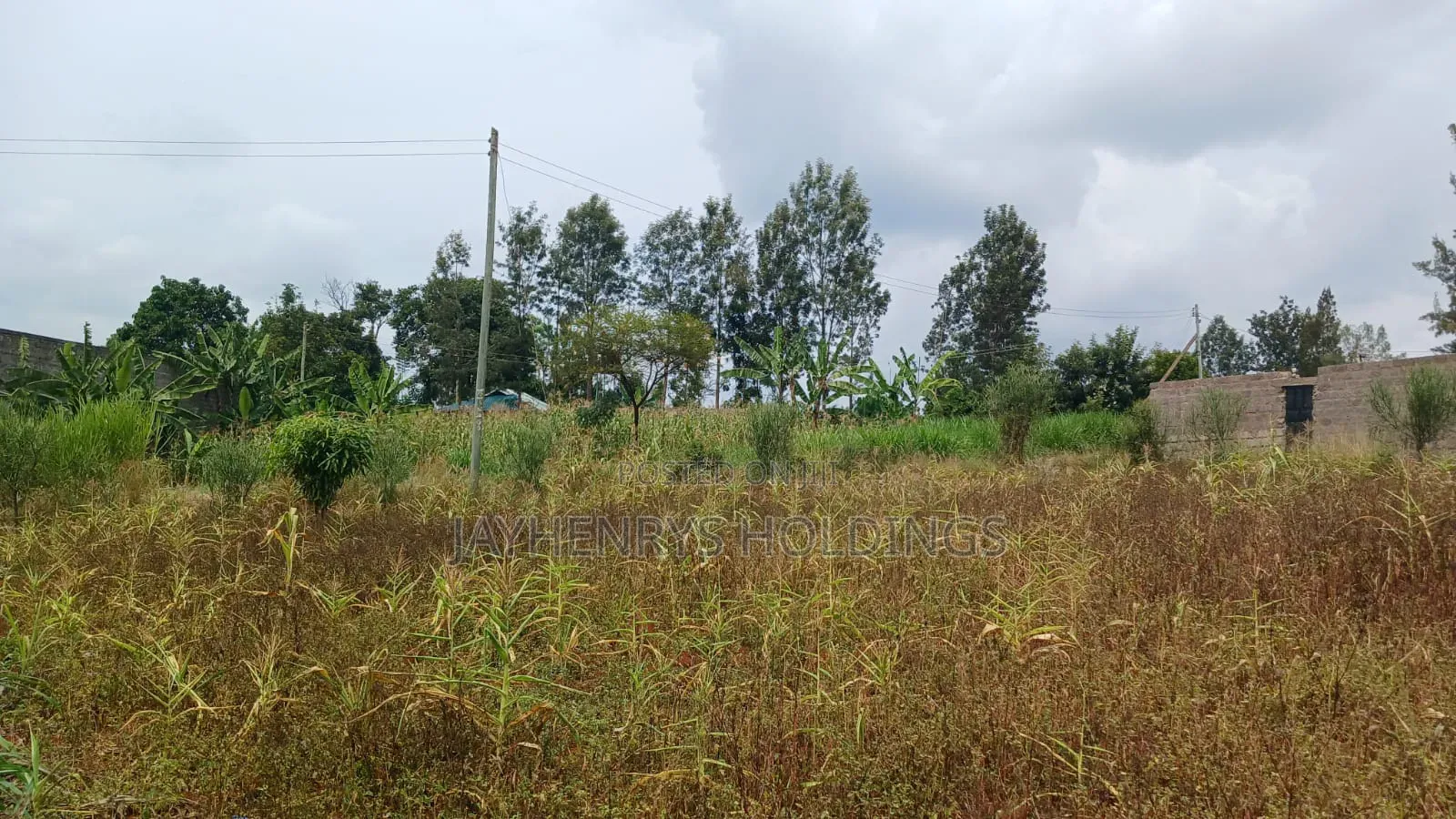 Plots for Sale in Mugutha, Ruiru at Kes 3.5M in Ruiru