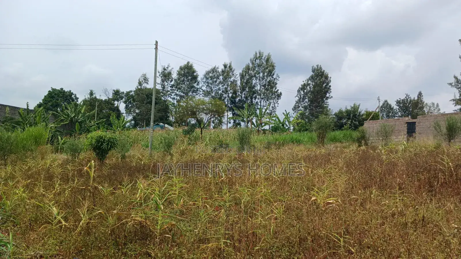 Plots for Sale in Mugutha, Ruiru at Kes 3.5M in Ruiru