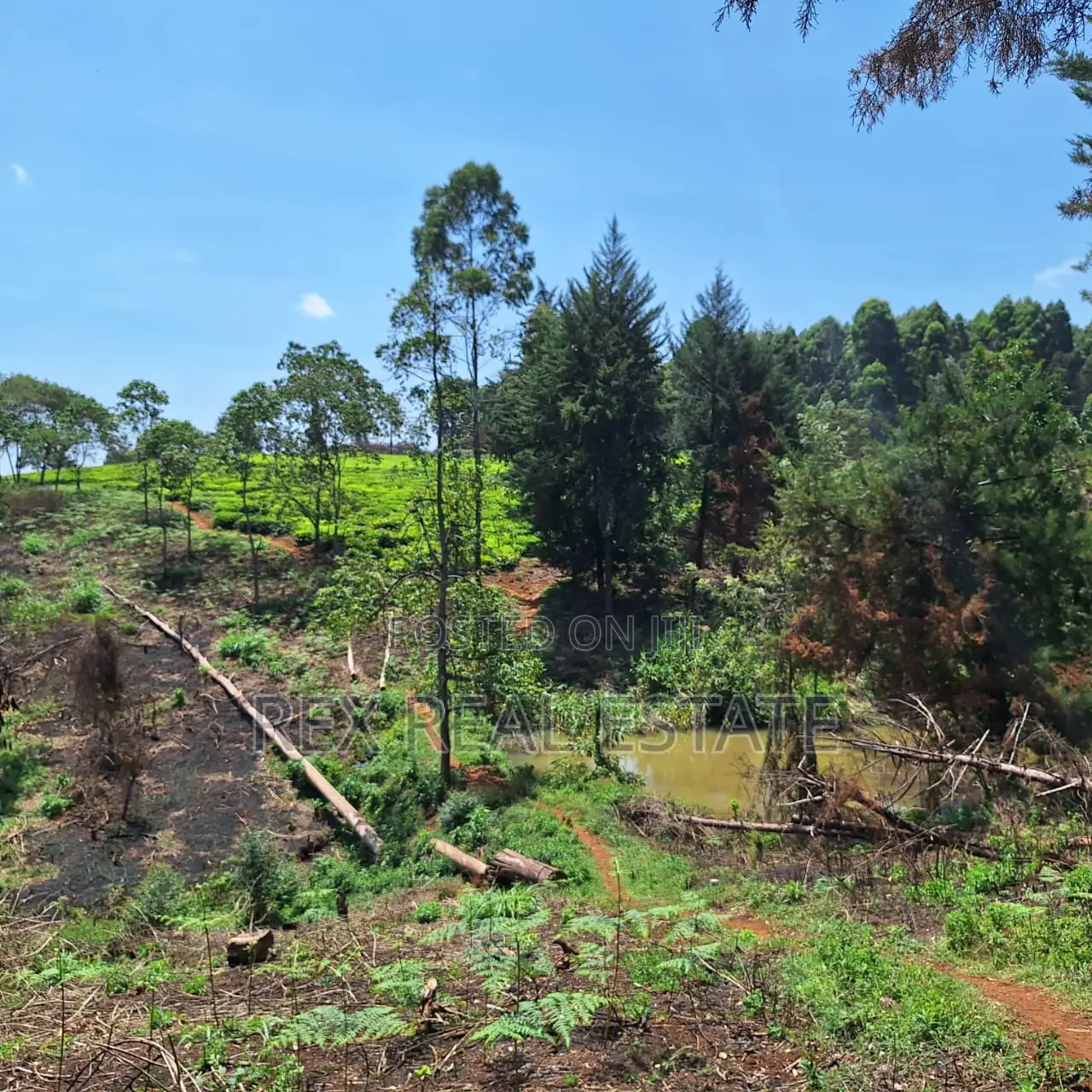 Tigoni - Kentmere Area 1/2 Acre Serviced Plots for Sale in Limuru