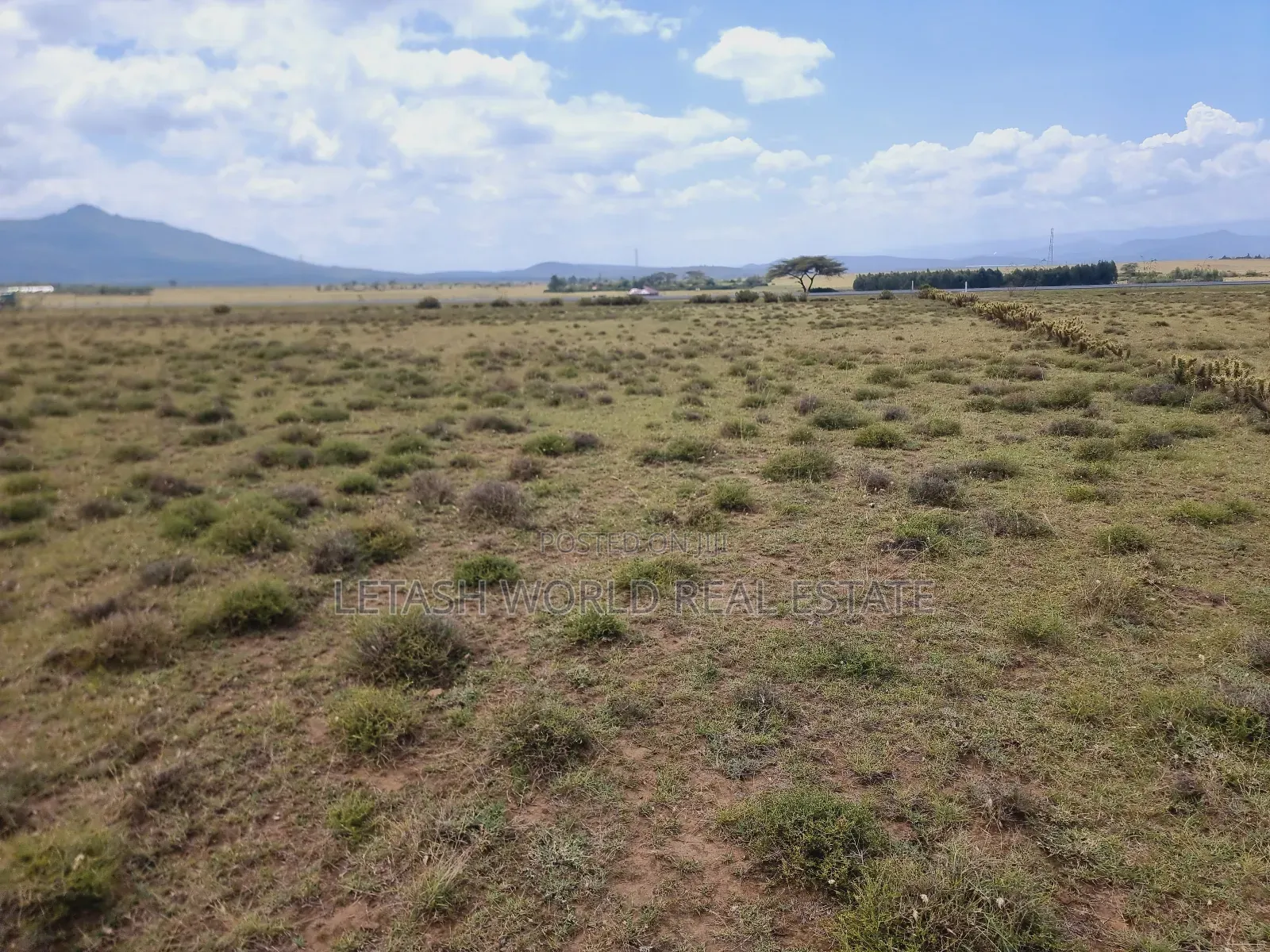 Prime Land Touching Tarmac,3acres in Mirera
