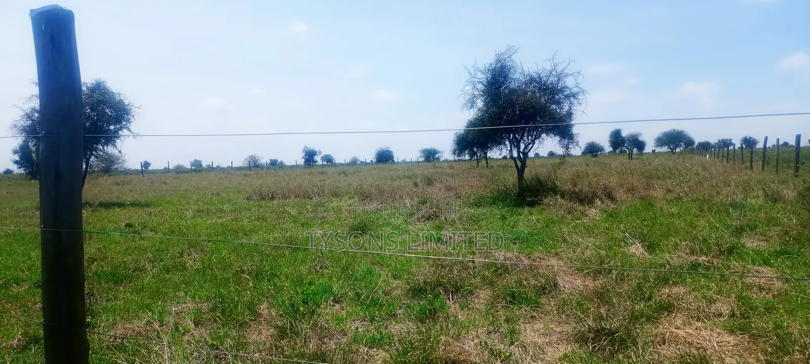 Vacant 1/8 Acre Plots For Sale In Isinya in Isinya