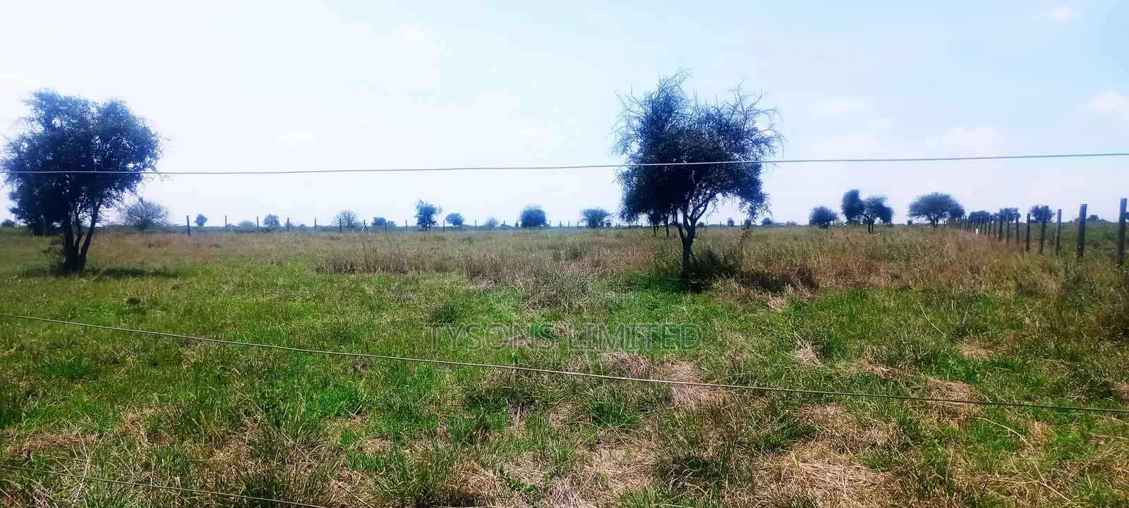 Vacant 1/8 Acre Plots For Sale In Isinya in Isinya