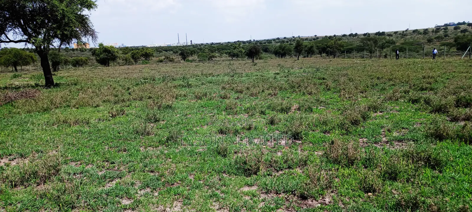 Vacant Plots for Sale in Isinya, Dalalekutuk Area in Isinya