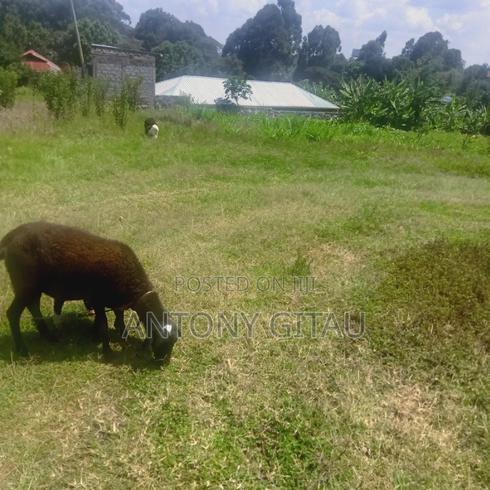 0.05 Ha Plot Near Kikuyu Bypass Overlooking Alliance High in Kikuyu