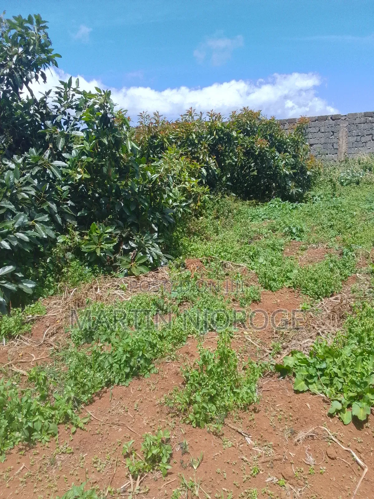 1.5-acre land available in Nyambari, Uplands in Lari/Kirenga