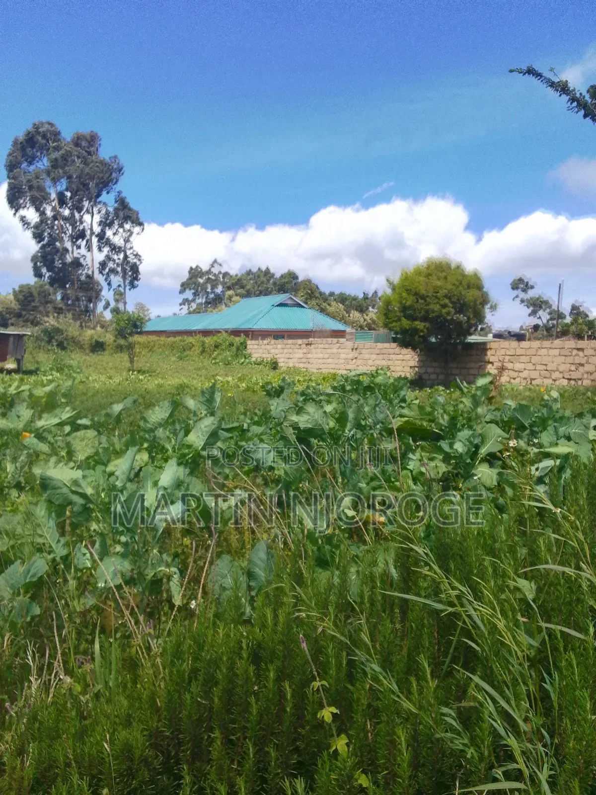 1.5-acre land available in Nyambari, Uplands in Lari/Kirenga