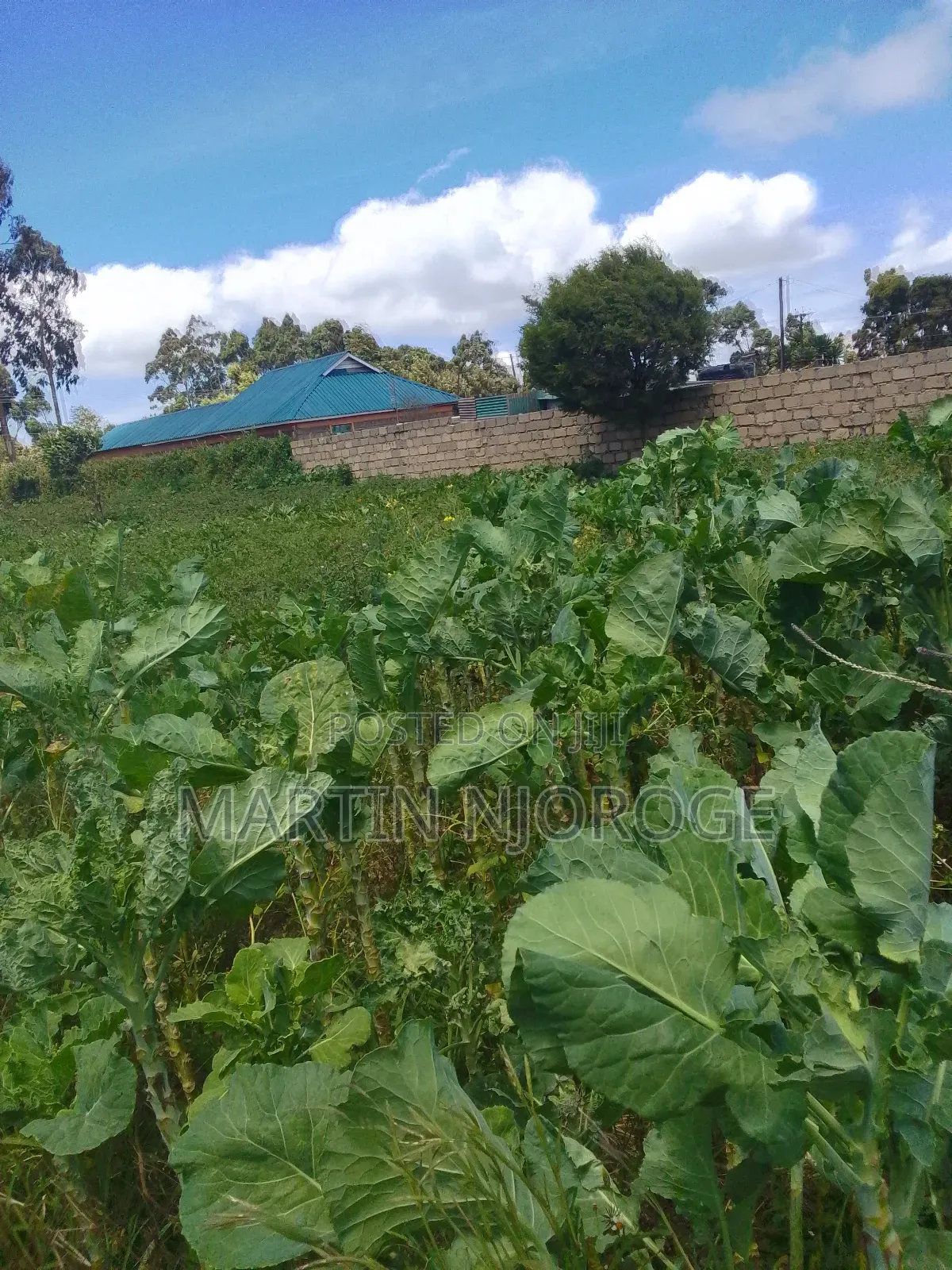 1.5-acre land available in Nyambari, Uplands in Lari/Kirenga