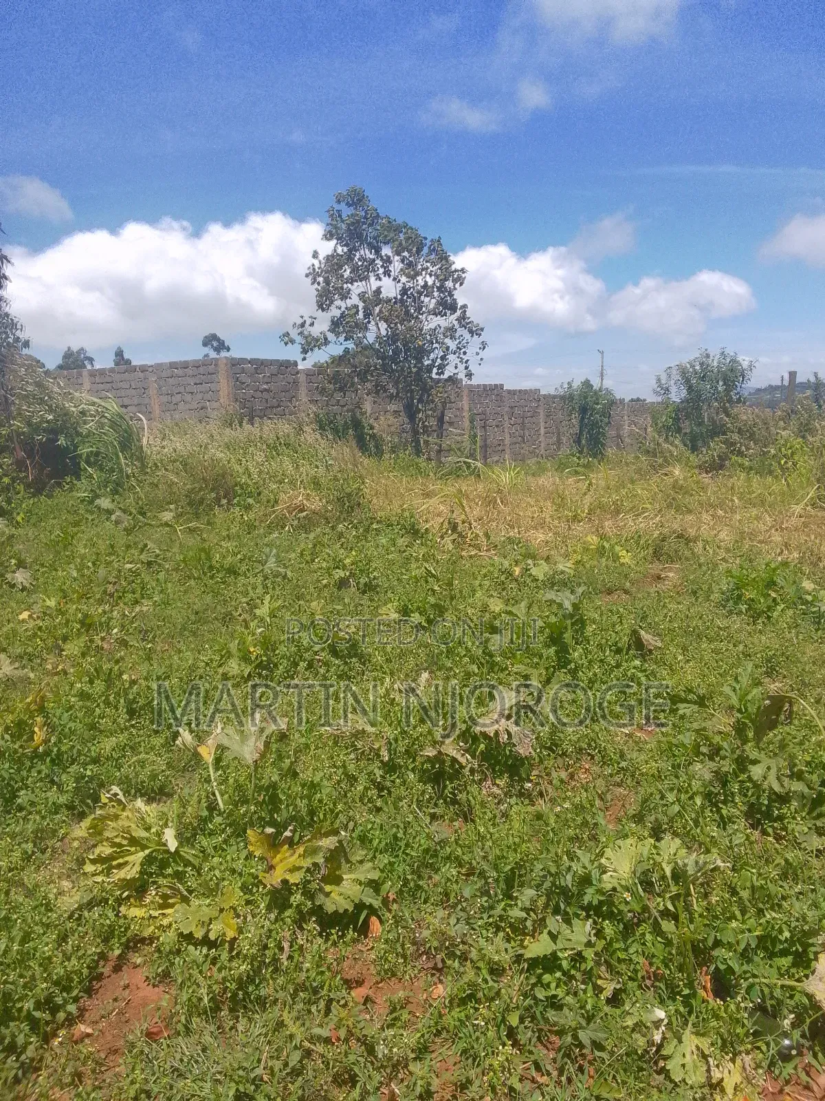 1⁄2 Acre Nyambari, Lari in Lari/Kirenga