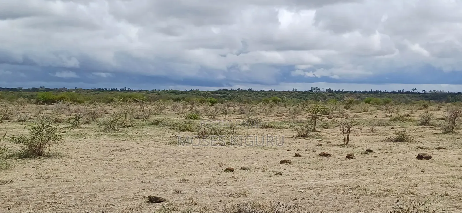 Mwalimu Farm 6 Acres. in Ruiru
