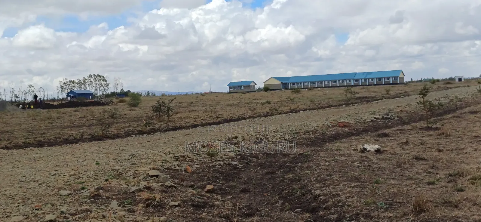 Mwalimu Farm 6 Acres. in Ruiru