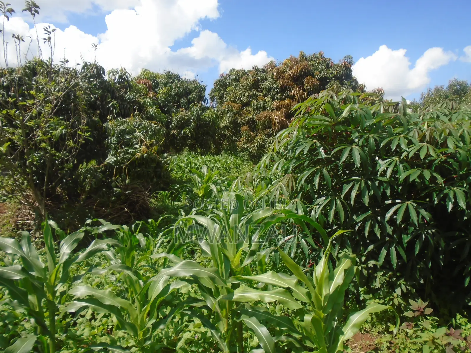 1.83 Acres Land for Sale in Nkoroi