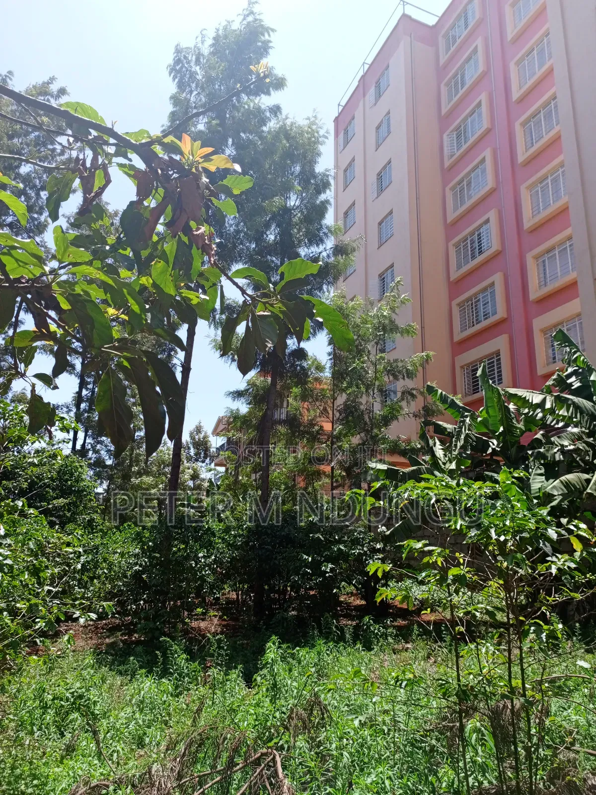 Commercial Plot on Sale, 0.0375 Acre, Thindigua in Thindigua/Kasarini