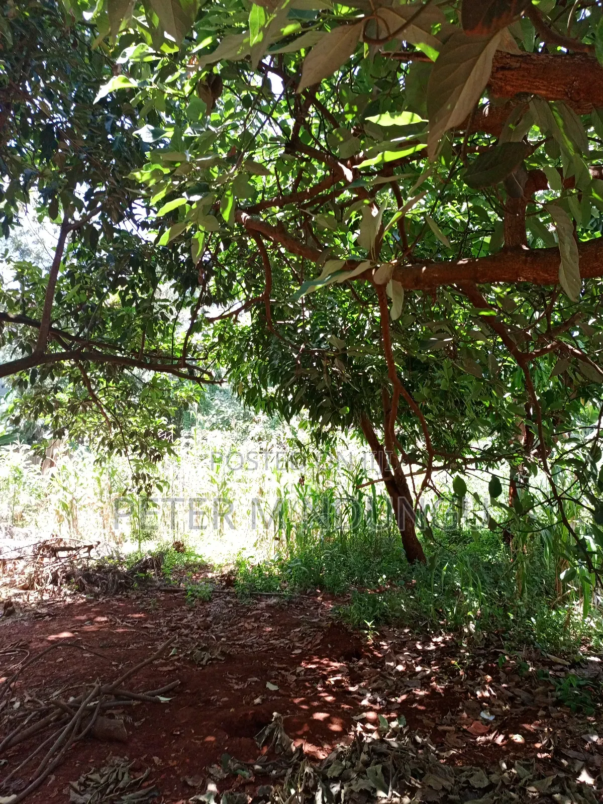 Commercial Plot on Sale, 0.0375 Acre, Thindigua in Thindigua/Kasarini