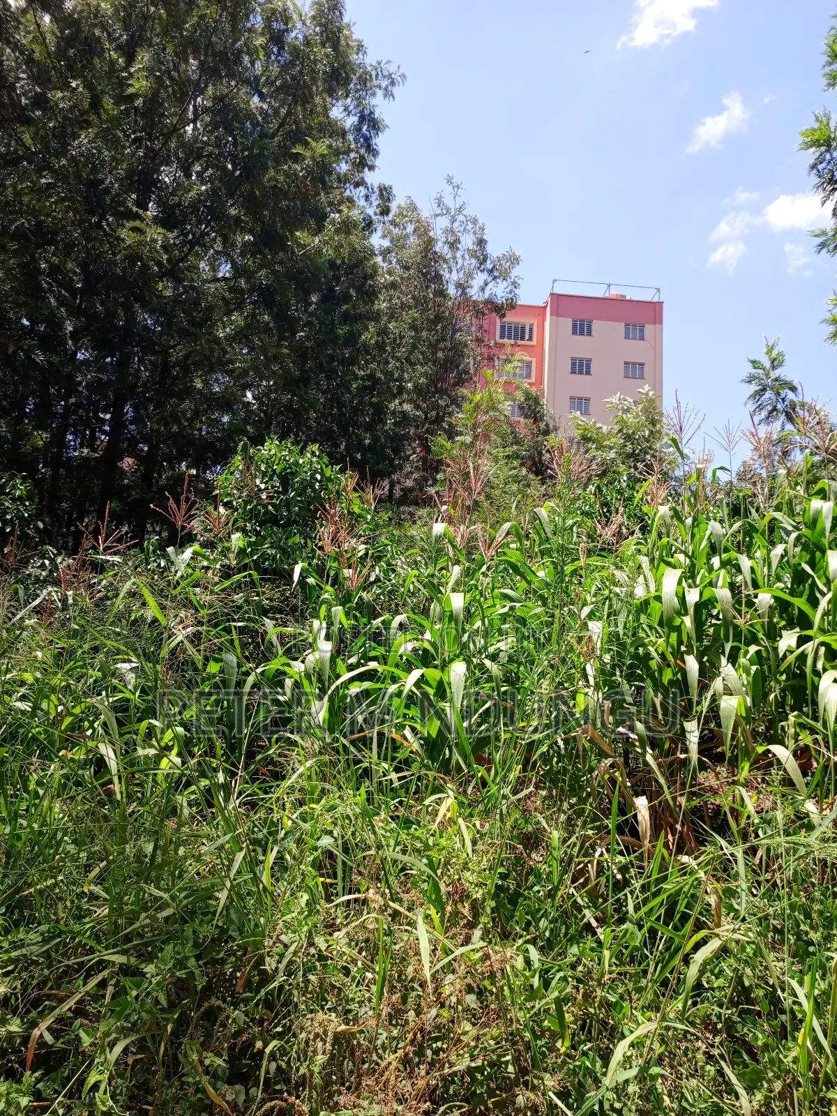 Commercial Plot on Sale, 0.0375 Acre, Thindigua in Thindigua/Kasarini