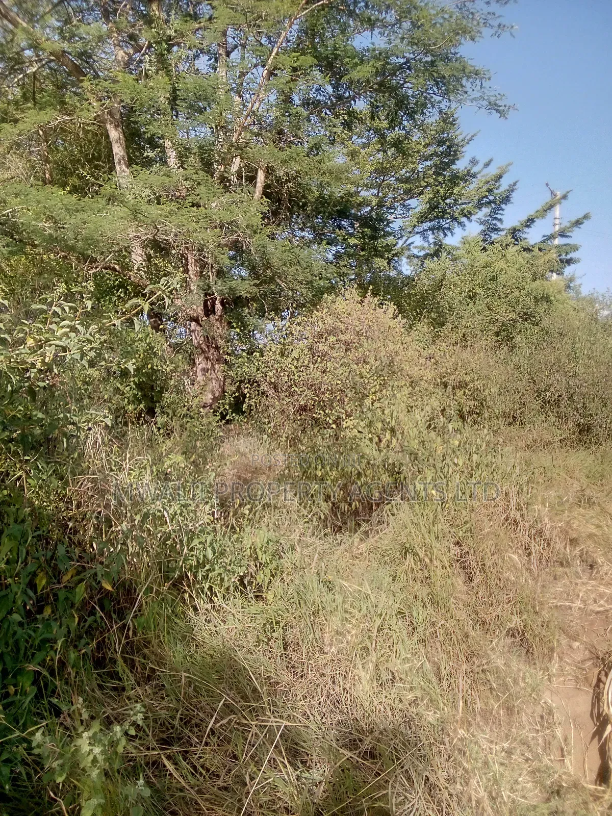3.75 Acre FARM.MOSA in Mbitini