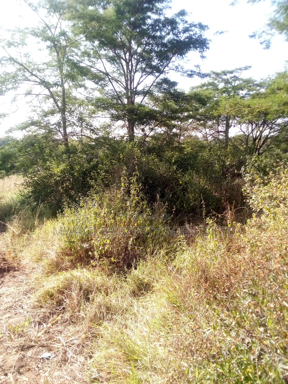 3.75 Acre FARM.MOSA in Mbitini