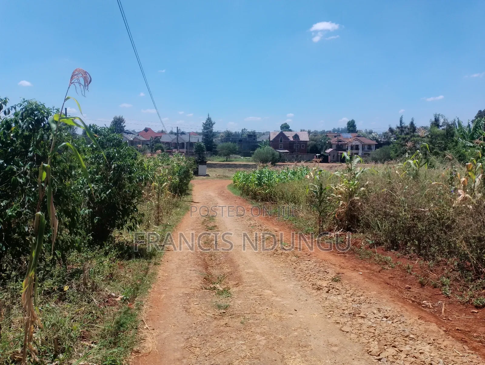 Spacious Residential Plot for Sale: 50x100 Meters in Kamiti in Kiambu / Kiambu 