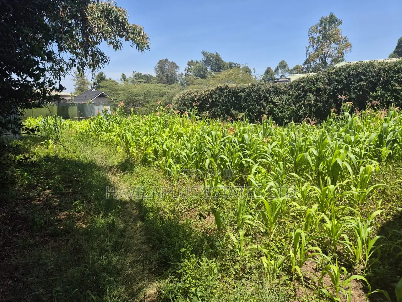 A Prime 1/8 Acre Behind Milele Mall Ngong in Ngong CBD