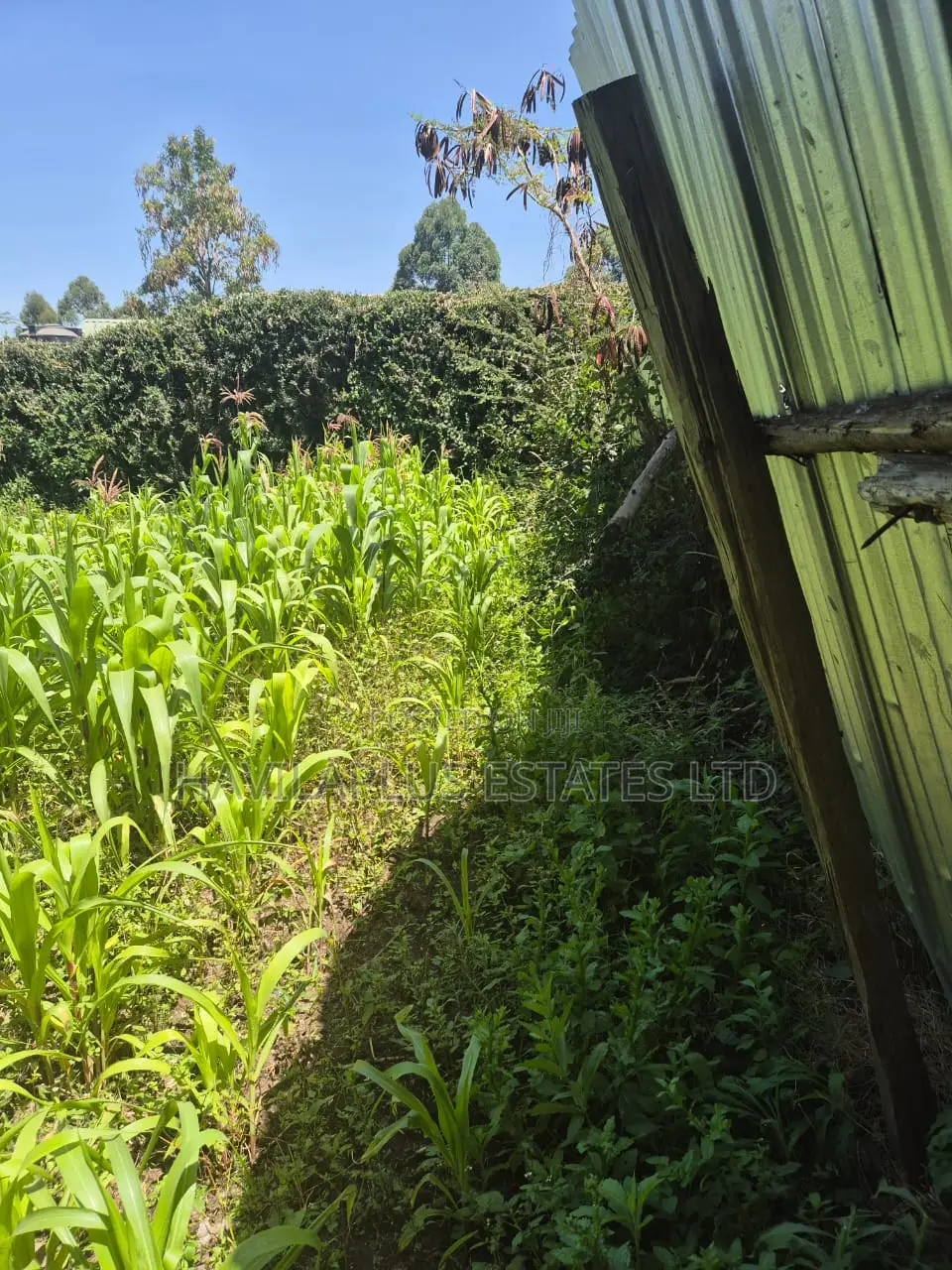 A Prime 1/8 Acre Behind Milele Mall Ngong in Ngong CBD