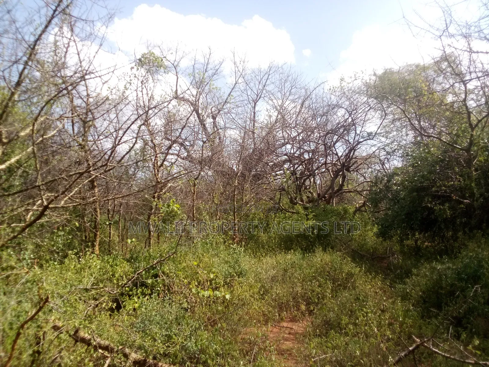 2 Acres Land, Matinyani in Matinyani