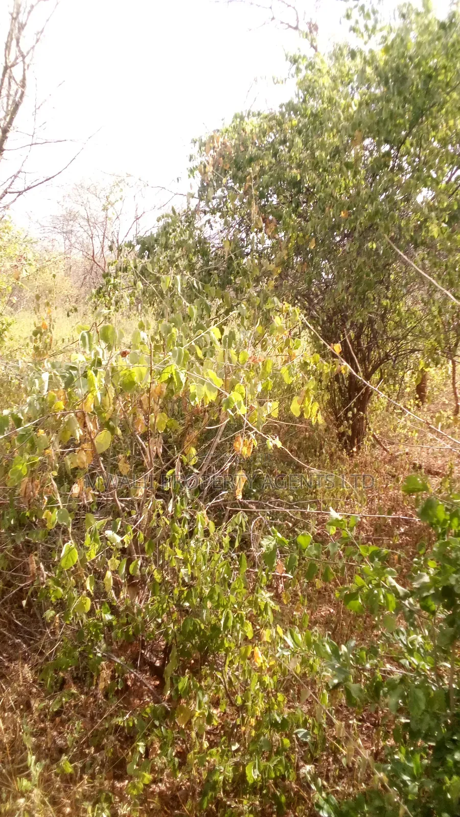 2 Acres Land, Matinyani in Matinyani