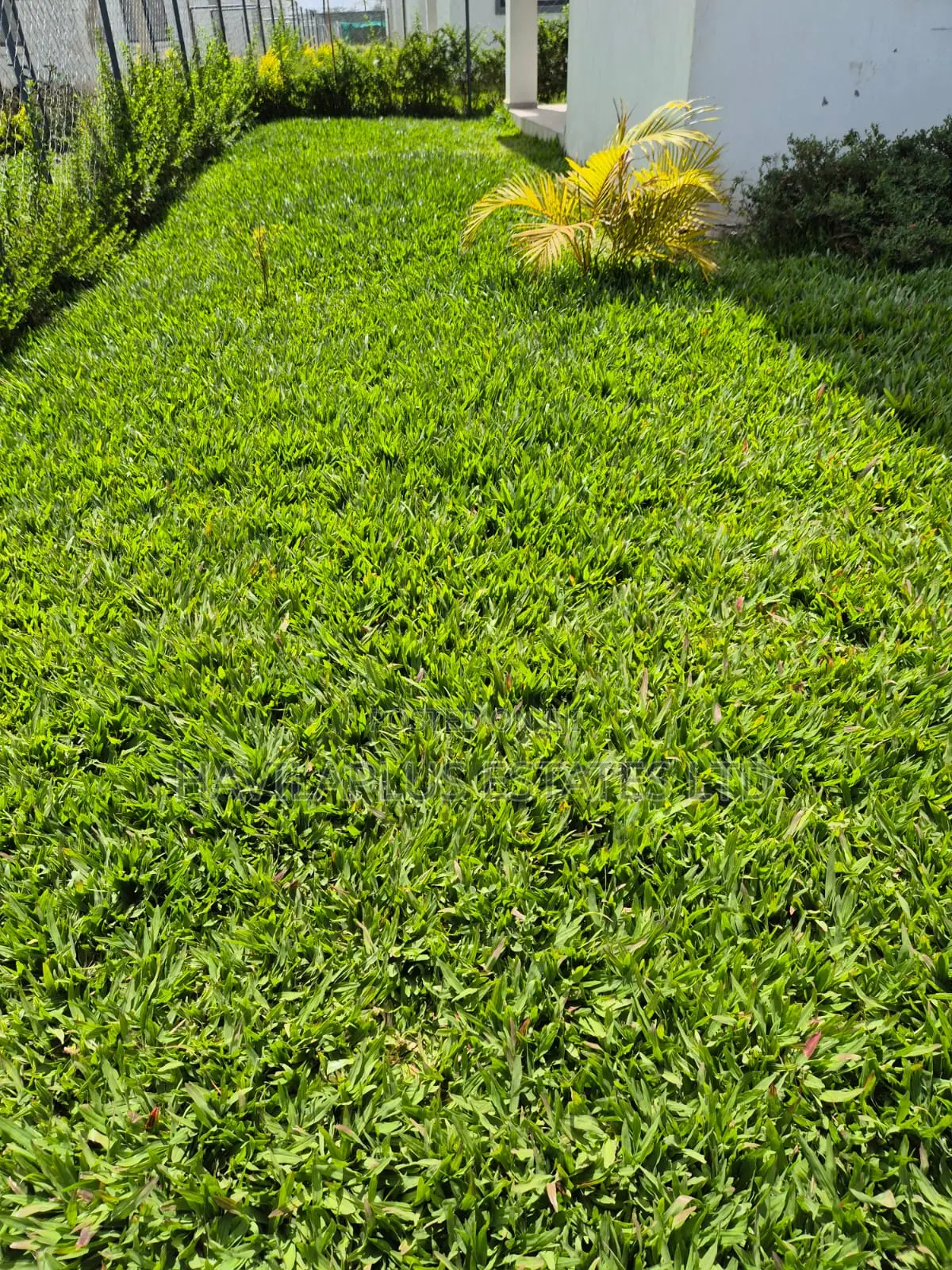 4bdrm Townhouse / Terrace in Rongai Next To, Maasai Lodge for rent in Maasai Lodge