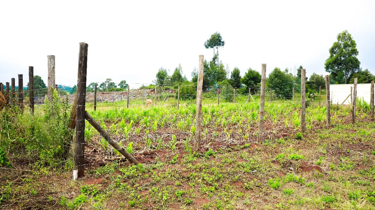 Prime Residential Plot for Sale in Kikuyu, Lusigetti in Kikuyu