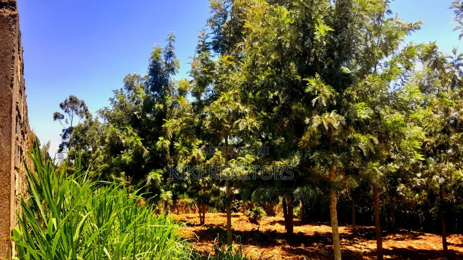 Plots for Sale in Kikuyu Thamanda Waiyaki Way in Muguga