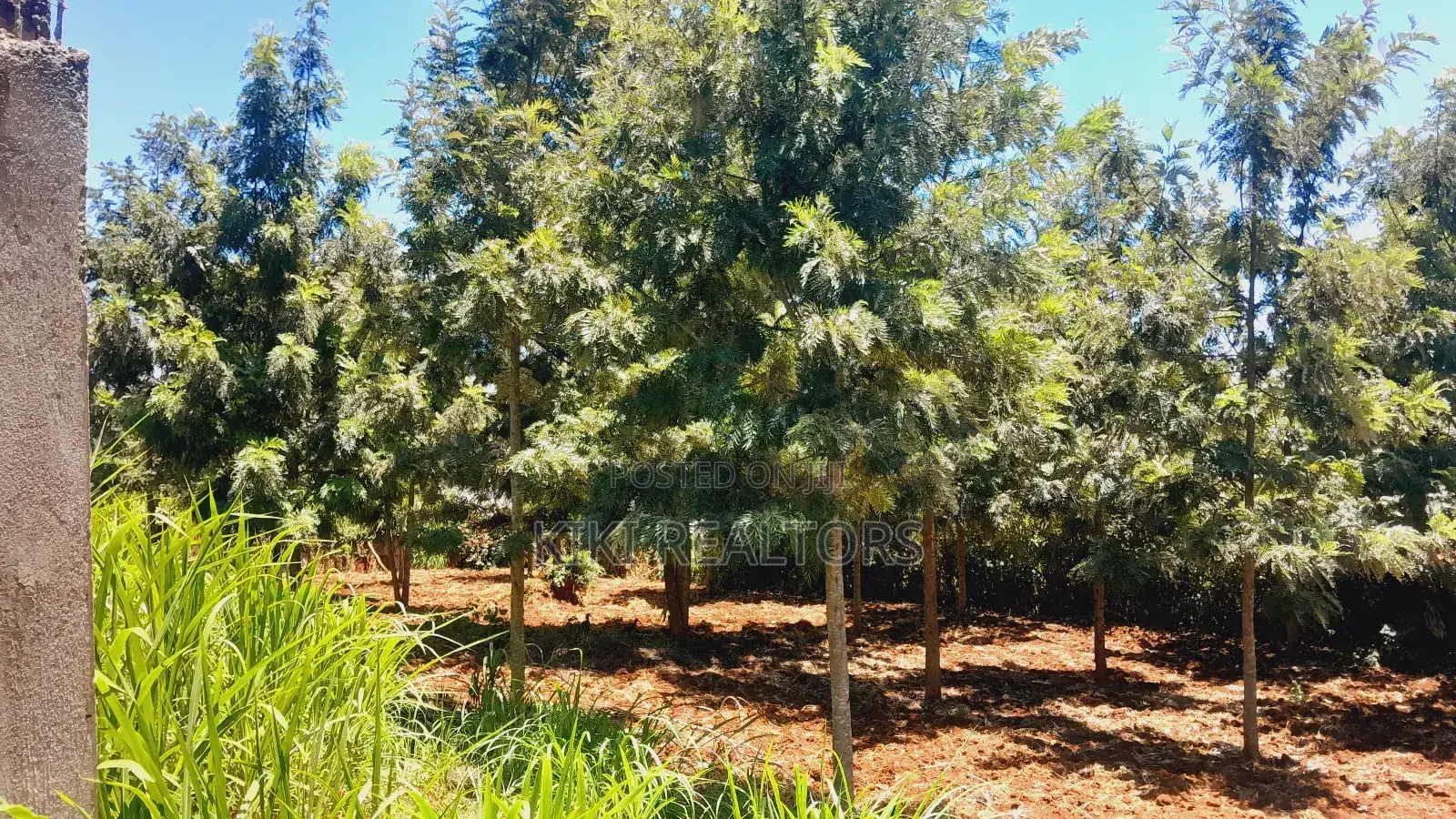 Plots for Sale in Kikuyu Thamanda Waiyaki Way in Muguga